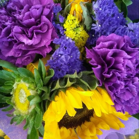 Meet your Posher, Collette - Picture 4 of 6